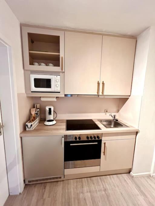 Stylish Studio Apartment With Beautiful Balcony Ingolstadt Ngoại thất bức ảnh